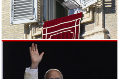 DECEMBER 28, 2025 Angelus Prayer with Pope Leo XIV & ASL—What He Really Said Will STUN You ✝️👀 Pope Leo XIV’s Angelus prayer on December 28 included American Sign Language—and what he revealed through every gesture and word is sparking shockwaves across the world! This wasn’t just a blessing; it was a bold message that critics say changes everything about how the Vatican speaks to the faithful. The ASL moment has believers and pundits reeling—what secret was he revealing with those signs? 👇