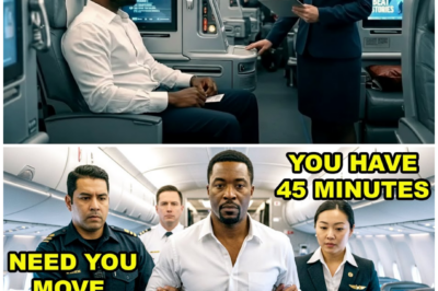 Black CEO Denied First Class Seat – 45 Minutes Later, Airline in Chaos