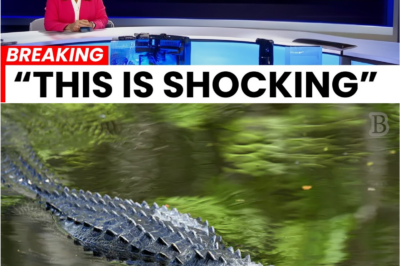 👀 “The Swamp Went Silent: The Bone-Chilling Truth Behind Florida’s Missing Crocodiles Revealed at Last 😳🐊🔥”
