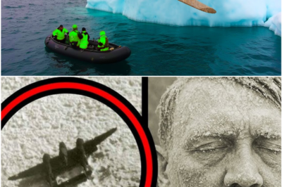 Abandoned WWII Plane Found Frozen in Arctic Iceberg Reveals Shocking Discovery Inside