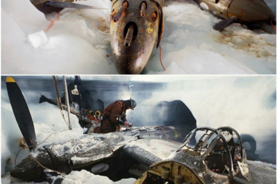 Frozen in Time: WWII P-38 Fighter Plane Discovered Perfectly Preserved in Alpine Glacier