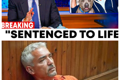 Cesar Milan From Dog Whisperer Sentenced To Life Imprisonment