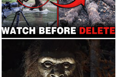 “DON’T HURT THEM!”—The SCARIEST BIGFOOT VIDEOS Ever Recorded Are Resurfacing, and Witnesses Swear This Footage Is 100% NOT AI. Captured in Remote Forests, Late at Night, and Often Followed by Panic or Silence, These Clips Show Movements, Sounds, and Faces That Experts Can’t Easily Explain. What Did the Camera REALLY Catch, Why Do Some Videos End Abruptly, and Who Was Begging in Fear When the Creature Appeared? ONE ELECTRIC Question Has Viewers Frozen in Terror: Are These Just Shadows and Hoaxes—or PROOF That Bigfoot Is Watching Us Back? 👉 Click the Article Link in the Comment to See the Footage Everyone Is Afraid to Debunk.