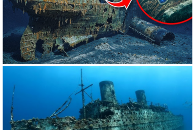 BREAKTHROUGH: What Divers Found in Titanic’s Back Half Horrified the World!