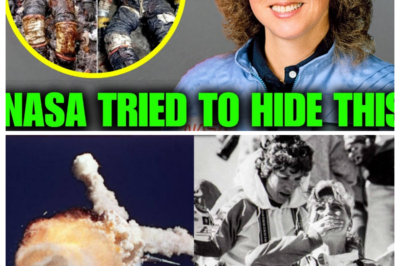 What Happened to the Bodies of the Challenger Disaster Crew