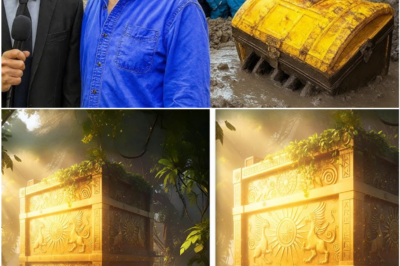 Oak Island Mystery Finally Unveiled: History Channel Confirms Shocking Discovery