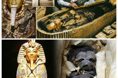 THE MYSTERY BEHIND TUTANKHAMUN—KING TUT’S LEGACY That Continues to Fascinate the World. For Over a Century, Historians and Archaeologists Have Puzzled Over the Young Pharaoh’s Sudden Death, Hidden Treasures, and the Secrets of His Tomb. What Caused His Untimely Demise, Why Was His Burial So Lavish Yet Strange, and What Clues Lie in the Artifacts That Suggest Secrets of Ancient Egypt Are Still Undiscovered? ONE ELECTRIC QUESTION Grips Egyptologists and Fans Alike: Was King Tutankhamun a Victim of Conspiracy,