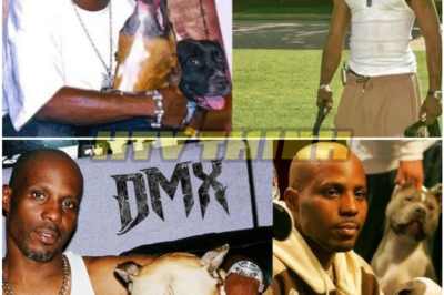 DMX’s “Trust Dogs Over Humans” Quote Sparks Ongoing Debate About Loyalty and Betrayal