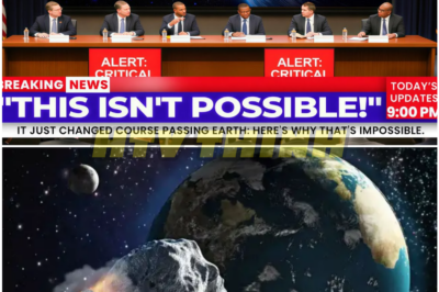 A Visitor From Another Star and a Sudden Shift No One Expected