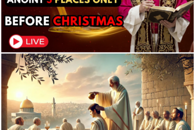 🕯️🔥 Your Front Door Is A Spiritual Gateway—Pope Leo’s 5-Step Oil Anointing Will Blow Your Mind! 🔥🕯️