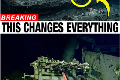 Seventeen Thousand Feet Below the Pacific, the USS Hornet’s Final Stand Is Finally Revealed