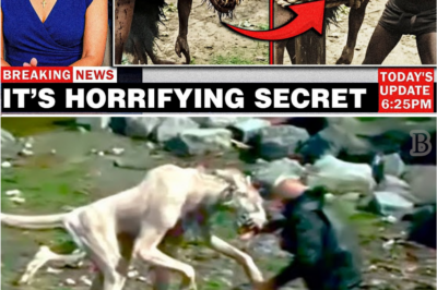 Experts Can’t Identify This Creature — And That’s What Terrifies Them