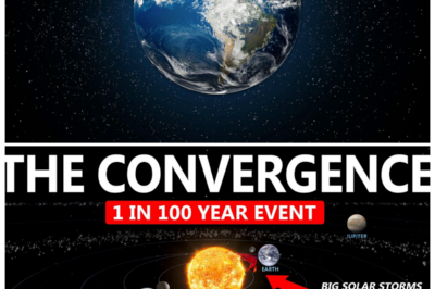 🐘 Astrophysical Anomalies: Are We Ignoring the Signs of an Impending Disaster? ⚡ “Are we living in a dream or a nightmare?” As physical anomalies from the universe begin to affect Earth, scientists are urging everyone to pay attention to these alarming signs. From climate changes to astronomical events, everything suggests that we may be in the midst of a major crisis. Stay tuned so you won’t be left behind! 👇