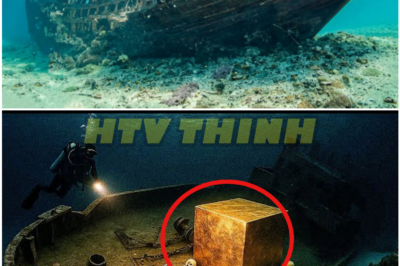 Beneath the Great Barrier Reef, Forgotten Ships and Vanished Gold Are Forcing History to Answer Uncomfortable Questions