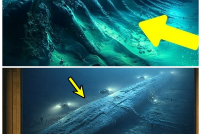 🌊 “Scientists Detected a Huge Miles-Long Structure Moving on the Ocean Floor — What They Found Was Disturbing!” In a shocking discovery, scientists detected a massive structure moving across the ocean floor, stretching for miles. What they uncovered was far more unsettling than anyone expected — strange materials, cryptic signals, and an unexplained force propelling the structure. The true nature of this discovery raises terrifying questions about what lurks beneath the surface and what was hidden for so long in the depths of the ocean 👇