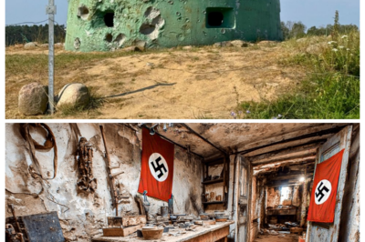 Secret Nazi Bunker Found – What Was Inside Is Unbelievable