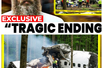 The Heartbreaking Tragedy Of Matt Raney From Homestead Rescue