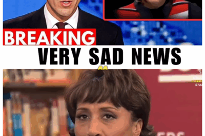 At 65, The Tragedy Of Robin Roberts Is Beyond Heartbreaking
