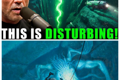 They Descended To The Bottom Of The Mariana Trench — And What They Found Could Shape The Future Of Power And Life On Earth! How Did Scientists Discover Clues In The Deepest Place On The Planet That May Transform Energy, Technology, And Biology As We Know It? The Findings Are Stunning And Almost Unbelievable. Click The Link In The Comments To Explore The Full Story And See Why The Deep Ocean May Hold The Key To Our Future!