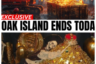 Oak Island Treasure Found, History Channel Confirms the Discovery!?