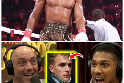 🐘 “Anthony Joshua SHOCKS Fans: Rejects Jake Paul’s $80 Million Bribe — Here’s His Reason Why! 🥊💔” “When faced with temptation, some choose honor!” In a captivating interview with Joe Rogan, Anthony Joshua shared the surprising rationale behind his rejection of Jake Paul’s $80 million bribe. As the boxing world reacts, Joshua’s stance raises important questions about the sport and its values. What did he reveal that has fans talking? Let’s uncover the details of this compelling discussion! 👇