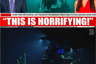 “Deep-Sea Sensors Pick Up an UNNATURAL March in the Mariana Trench… Then Something Down There Answered Back 😨🔦🛑”