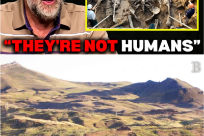“Before His Death, Ron Wyatt Confessed What He Believed Was Inside Noah’s Ark — And It Changed Everything”
