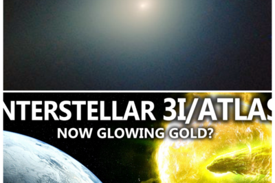 🐘 “3I/ATLAS Glows with Anticipation”: Earth’s Closest Approach Countdown Is On! 🌠 “When the cosmos calls, we must answer!” The comet 3I/ATLAS is now radiating a striking golden light as it approaches Earth, marking the beginning of an exciting countdown. As astronomers and stargazers gear up for this extraordinary event, what insights can we glean about this fascinating comet? Join us as we explore the wonders of the universe! 👇