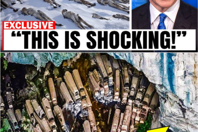 Hidden From the Ground, Exposed From the Sky: The Drone Discovery That Terrified Experts