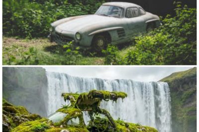 💥 “60 Years Hanging on a Waterfall — Abandoned Mercedes-Benz 300 SL Gullwing Fully Restored, What They Found Will Shock You!” An abandoned Mercedes-Benz 300 SL Gullwing, hanging precariously on a waterfall for 60 years, has been fully restored, and what experts discovered during the restoration is beyond belief. The car, once thought to be a lost relic, holds unexpected treasures hidden inside — rare, untouched components, and hidden documents that could change the history of this iconic vehicle. The shocking discoveries will leave you speechless 👇