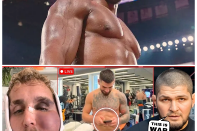 🐘 BREAKING: Jake Paul’s SHOCKING Damage Revealed! Ilia Topuria Declares War on Khabib! 😱 After suffering a devastating knockout, Jake Paul has shared the shocking details of his injuries, raising concerns among fans. Meanwhile, Ilia Topuria has made headlines by declaring war on Khabib, igniting a fierce rivalry in the MMA world. Let’s dive into the latest updates and what they mean for both fighters moving forward!👇