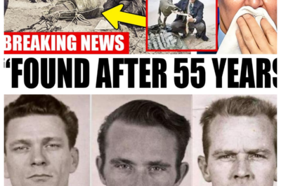 What Scientists JUST Discovered In Alcatraz Shocked The Whole World