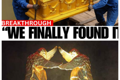 Archaeologists In Shock: Found The Real Ark Of The Covenant!?