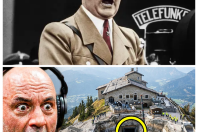 World In Shock: The Hidden Discovery Beneath Hitler’s Eagle’s Nest That Scientists Never Expected!