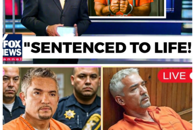 Cesar Millan From The Dog Whisperer Sentenced To Life Imprisonment, Goodbye Forever