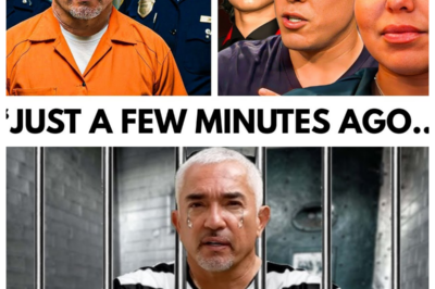 Cesar Millan’s Final Sentencing. Goodbye Forever!