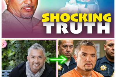 We Finally Know What Happened To Cesar Millan, The Dog Whisperer