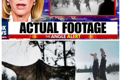 The Soviet Division That Was Massacred by Something Unknown in Finland During 1939