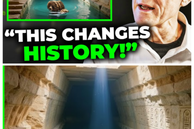 Archaeologists Open a Sealed Egyptian Chamber — The Mysterious Device Inside Should Not Exist! Deep within an ancient tomb, researchers have uncovered a device so advanced and baffling that it challenges everything we know about history and technology. How did it get there, and what could it mean for our understanding of ancient civilizations? The discovery is so shocking that even seasoned experts are struggling to explain it. Click the link in the comment to see the full story and astonishing images.