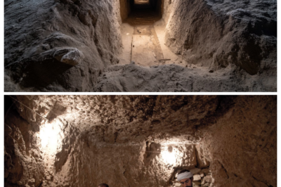Egyptologists Discover an Ancient Tunnel Older Than the Great Pyramids — A Secret That Could Rewrite History! Deep beneath the sands of Egypt, researchers have uncovered a tunnel predating even the iconic pyramids. What mysteries does it hold, and how could this change everything we thought we knew about ancient Egyptian civilization? The discovery is so astonishing that historians are scrambling to understand its significance. Click the link in the comment to explore the full shocking revelation.