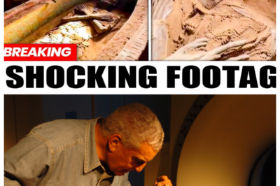Scientists Just Opened Akhenaten’s Lost Tomb- And The Condition Of The Mummy Shocked Egyptologists