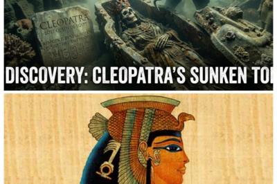Secrets of Cleopatra’s Lost Palace Revealed — Shocking Treasures Hidden for 1,600 Years Finally Surface! Beneath the sands and sunken ruins of ancient Egypt, archaeologists are uncovering astonishing secrets from Cleopatra’s legendary palace. What priceless treasures were buried for over sixteen centuries, and why are historians calling this one of the most important discoveries ever made? The revelations are so shocking they could redefine everything we know about Egypt’s most famous queen. Click the link in the comment to uncover the full story.