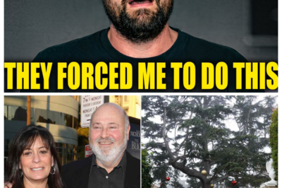 Rob Reiner’s Son Just Confessed The Awful Truth