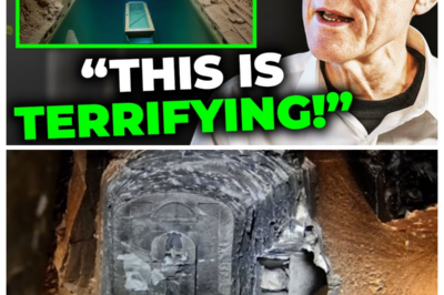For GENERATIONS, the depths beneath GIZA were thought to hold nothing but sand and stone—but a CHILLING DISCOVERY has shattered that belief. How Did a SEALED COFFIN End Up FLOATING in a HIDDEN UNDERGROUND LAKE Beneath the Pyramids—and Why Are Archaeologists AFRAID to Open It? Obscure scan data, ancient flood myths, and unexplained engineering details suggest this chamber was NEVER MEANT TO BE FOUND, let alone disturbed. What lies inside could challenge long-accepted views of ANCIENT EGYPTIAN RITUALS, BURIAL PRACTICES, AND FORBIDDEN KNOWLEDGE. The implications are disturbing—and potentially world-changing. 👉 CLICK THE ARTICLE LINK IN THE COMMENT to uncover the HIDDEN DETAILS experts are urgently debating.