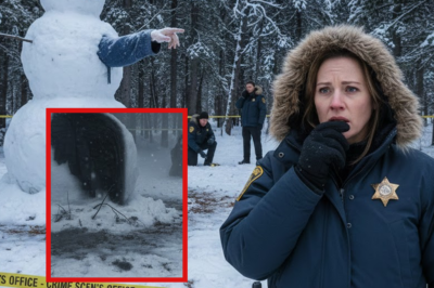 THE SNOWMAN’S FINGER