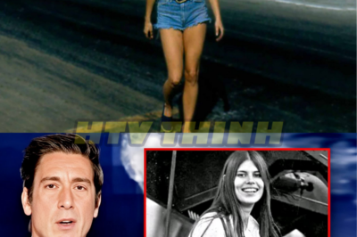 “Jungle Pam’s Shocking Secrets: The Dark Side of Drag Racing’s Golden Girl Revealed! 😢” – While Jungle Pam lit up the drag racing scene, her life was filled with challenges that few knew about. Join us as we unveil the heartbreaking truths behind her rise to fame and the tragic events that changed everything!👇