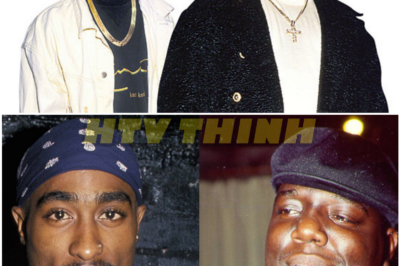 When Grief Turns to Suspicion: The Theory No One Wants to Confront