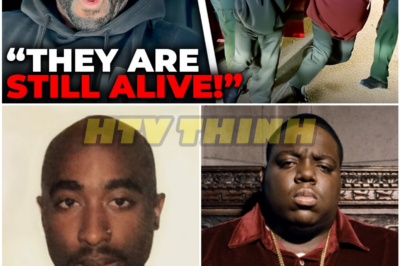 “The Evidence They Buried Returns… And It Changes Everything”