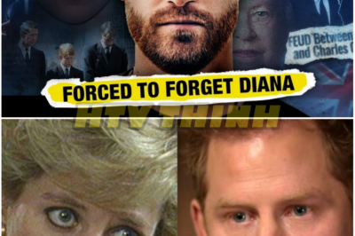 “Inside the Silent Rift: Harry and Charles Clash Over Diana’s Unfinished Legacy”