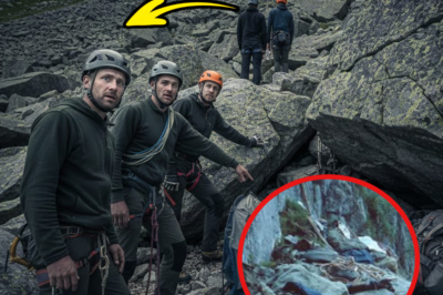 What Really Happened on the Unmarked Path the Mountain Tried to Forget